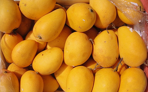 fruits
